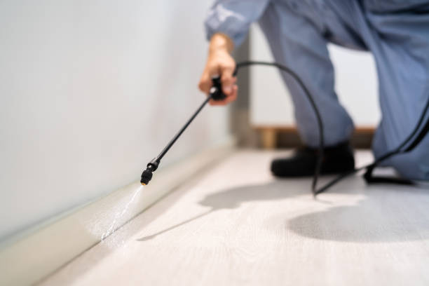 Licensed Cockroach Control service in Richland, GA - Nex Pest Control