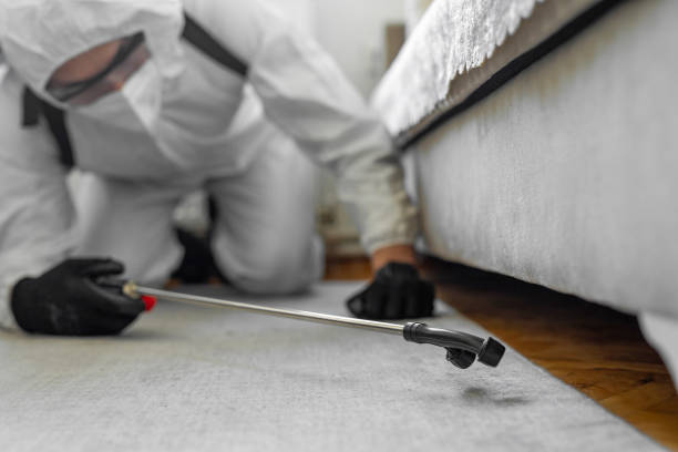 Professional Cockroach Control technician working in Richland, GA