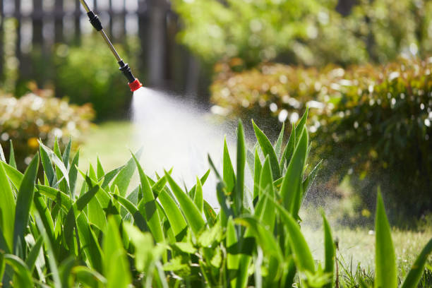 24/7 Emergency Cockroach Control experts in Richland, GA