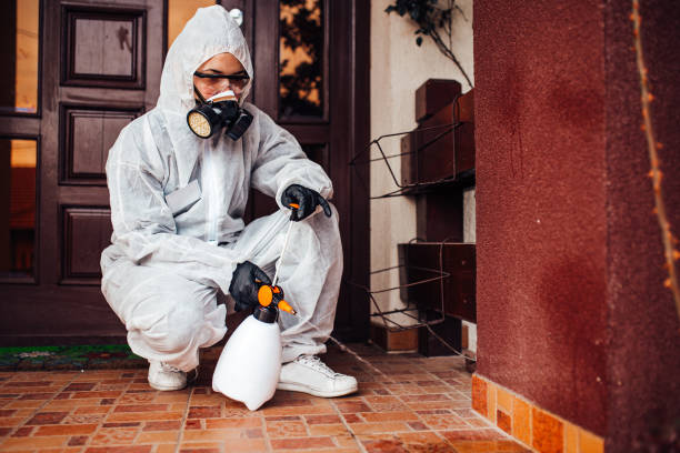 Reliable Cockroach Control contractor in Richland, GA by Nex Pest Control