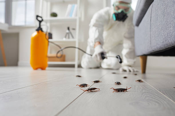 Trusted Cockroach Control service in Richland, GA - Nex Pest Control